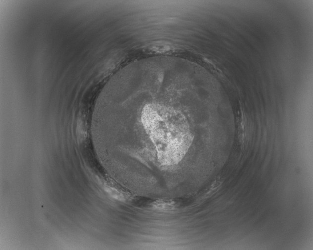 X0000082170606200701191309