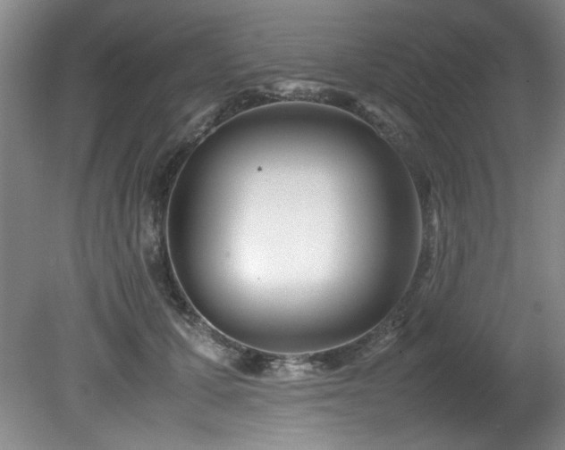 X0000082170607200701191309