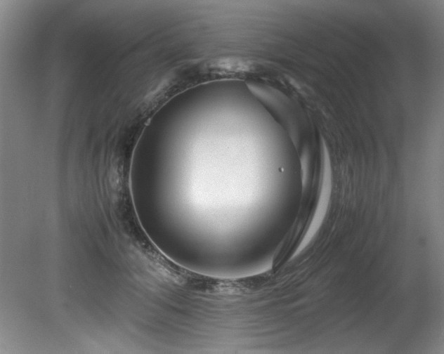 X0000082170608200701191309