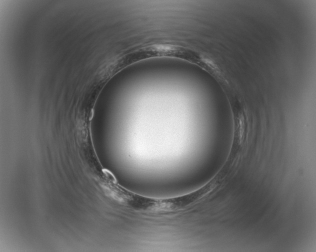 X0000082170609200701191309