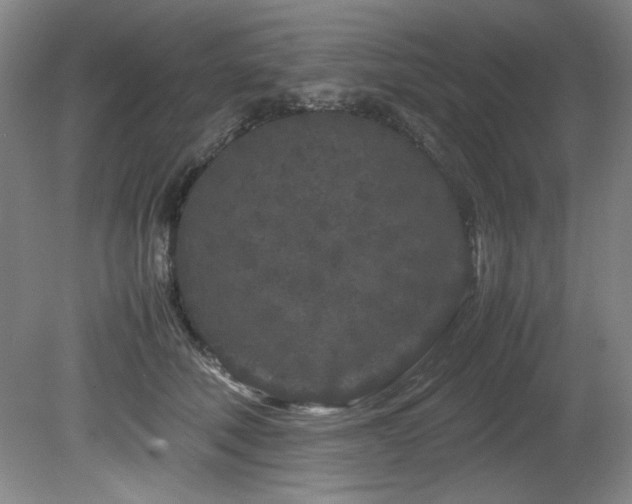 X0000082170610200701191309