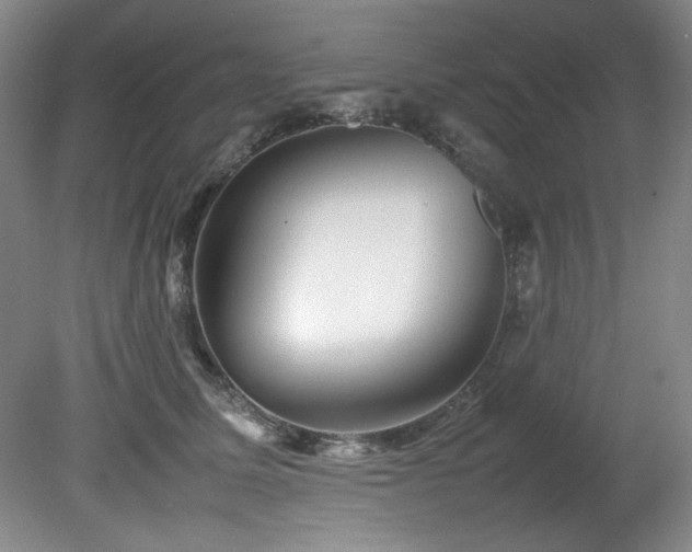 X0000082170611200701191309