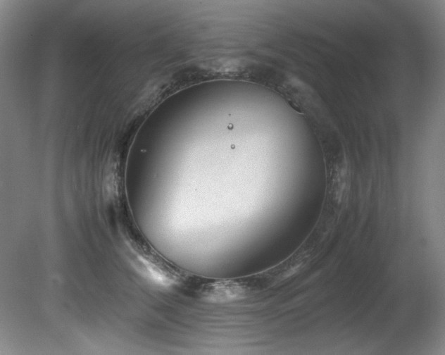 X0000082170612200701191309