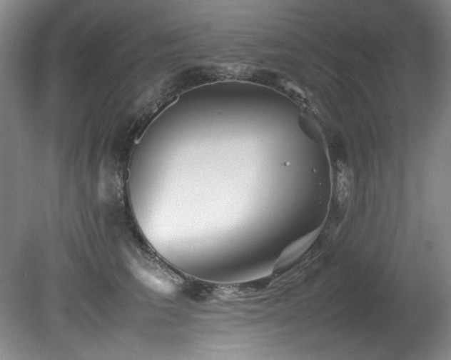 X0000082170613200701191309