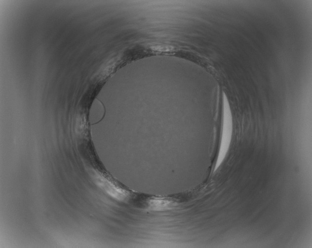 X0000082170614200701191309