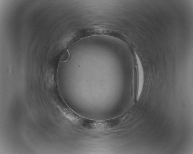 X0000082170615200701191309