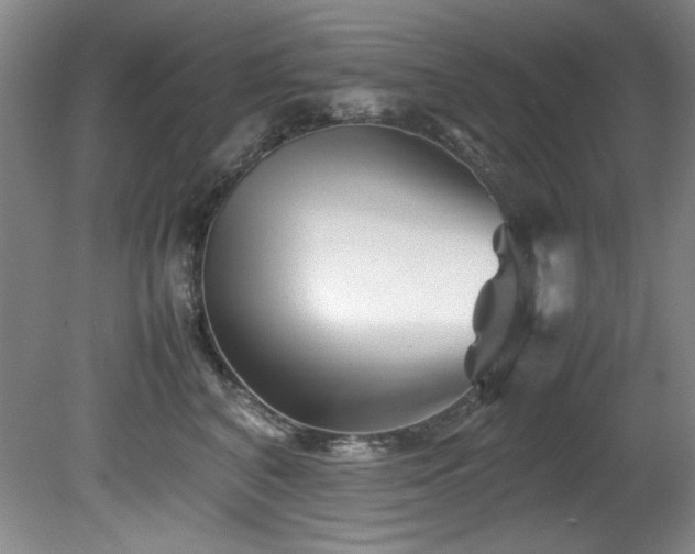 X0000082170616200701191309