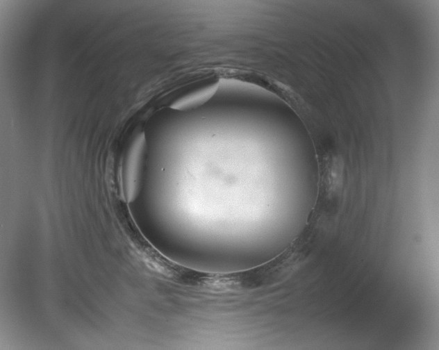 X0000082170619200701191309