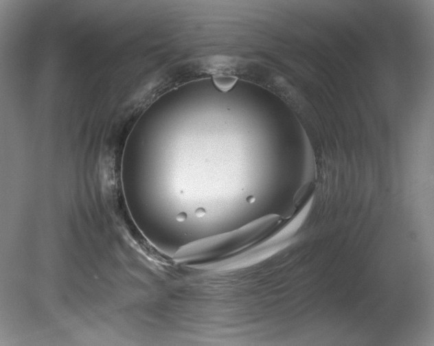 X0000082170620200701191309