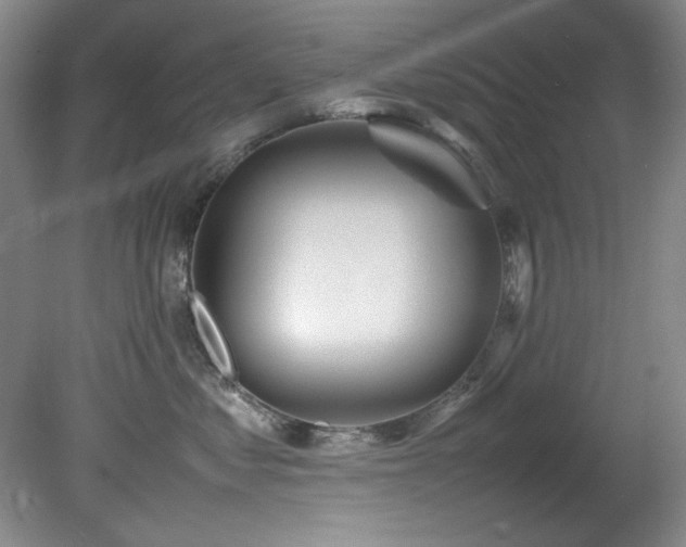 X0000082170621200701191309