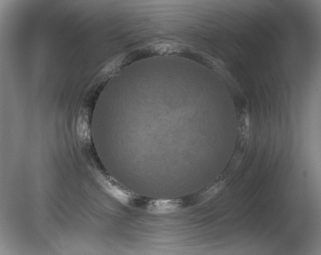 X0000082170622200701191309