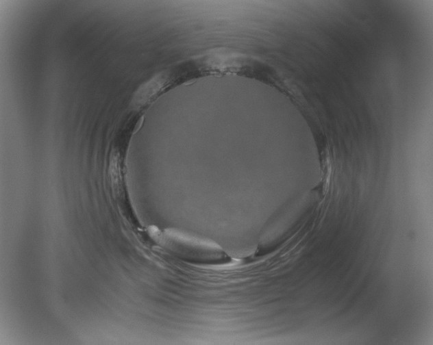 X0000082170623200701191309