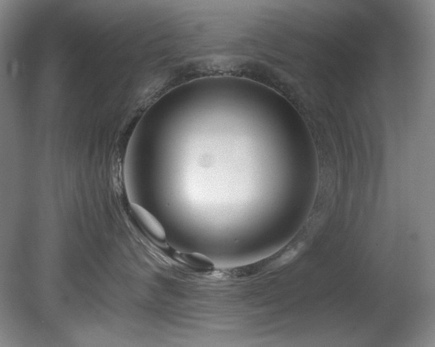 X0000082170624200701191309