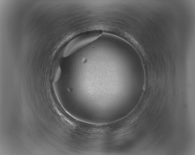 X0000082170625200701191308