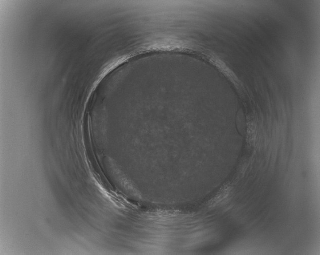 X0000082170626200701191308