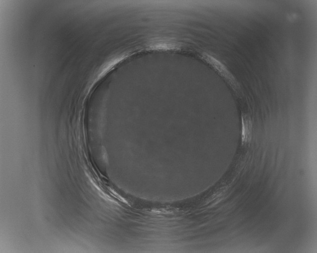 X0000082170627200701191308