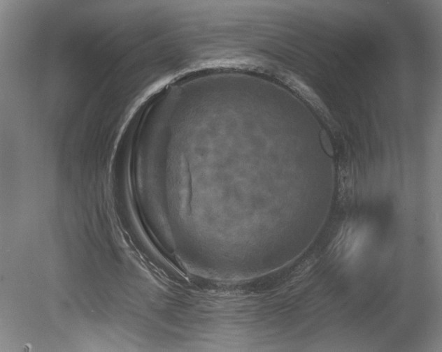 X0000082170628200701191308