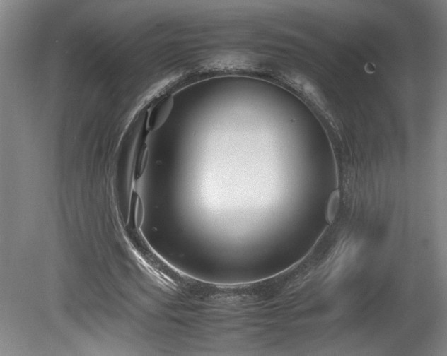 X0000082170629200701191308