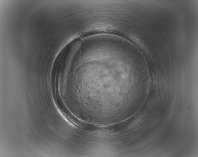 X0000082170630200701191308