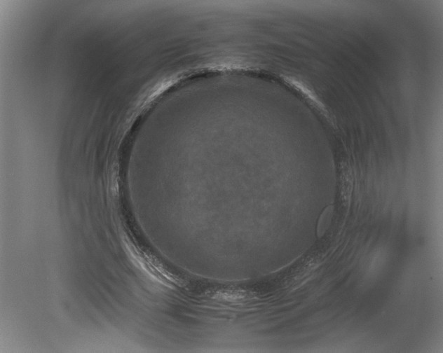 X0000082170631200701191308