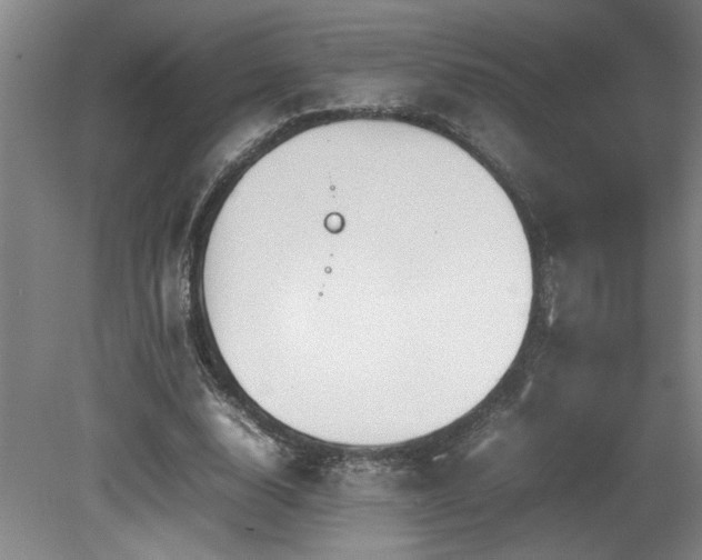 X0000082170632200701191308