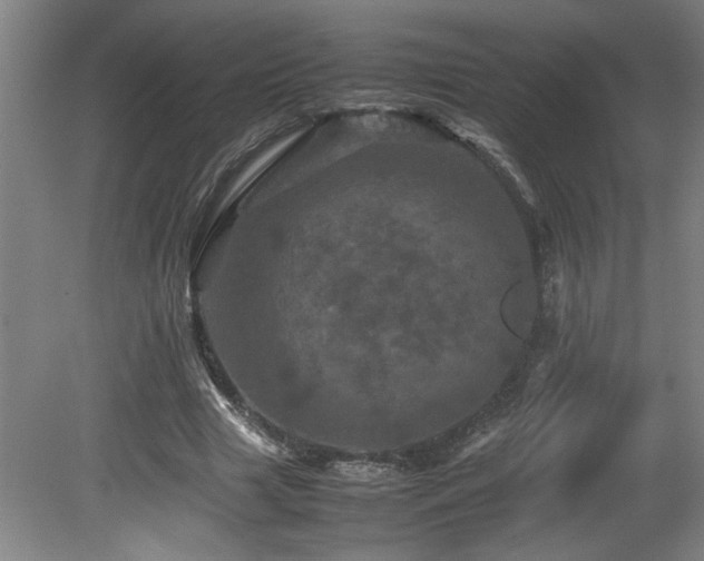 X0000082170633200701191308