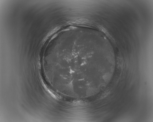 X0000082170634200701191308