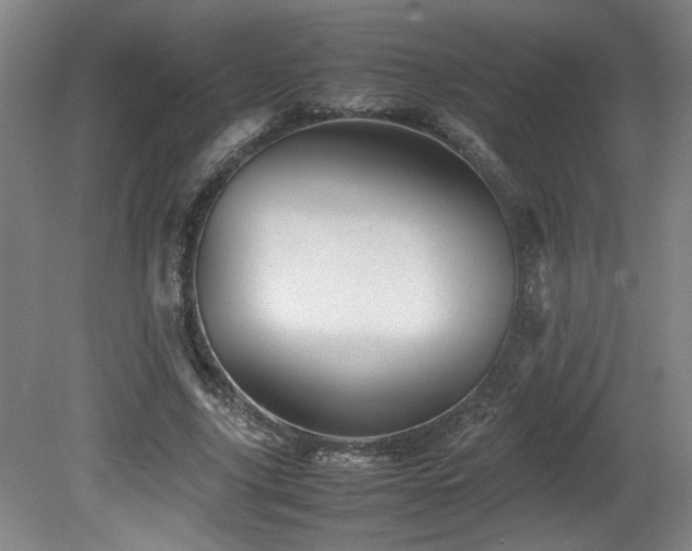 X0000082170635200701191308