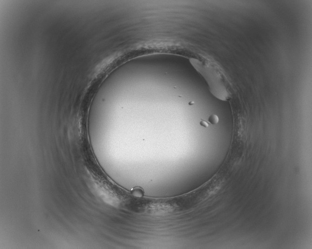 X0000082170636200701191308