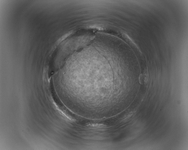 X0000082170637200701191308