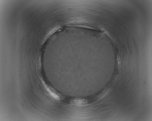 X0000082170638200701191308