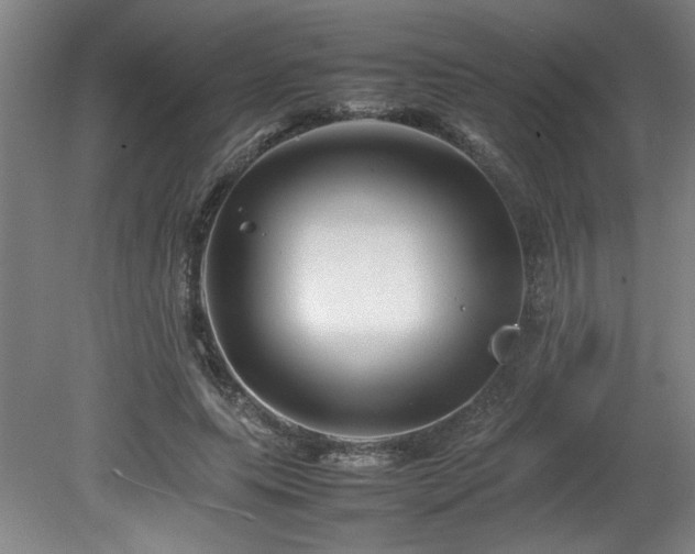 X0000082170639200701191308