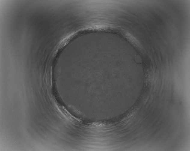 X0000082170640200701191308