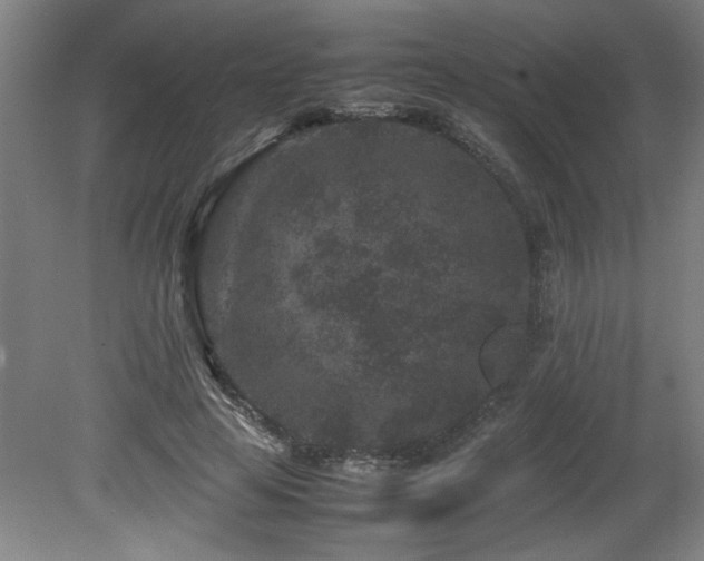 X0000082170641200701191308