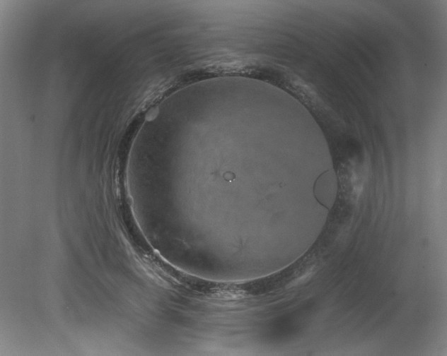 X0000082170642200701191308