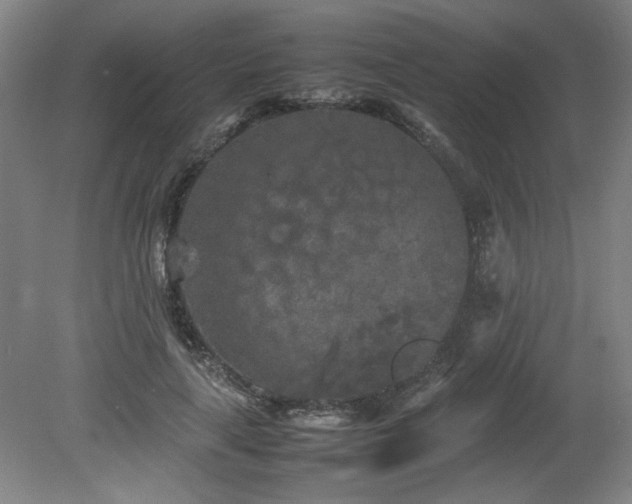 X0000082170643200701191308