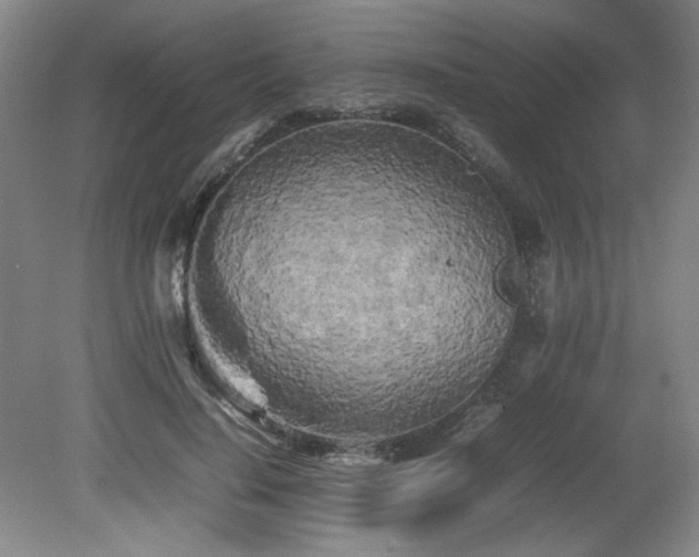 X0000082170644200701191308