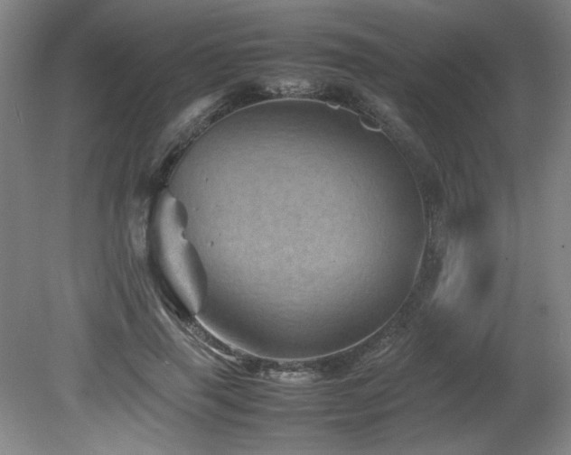 X0000082170645200701191308