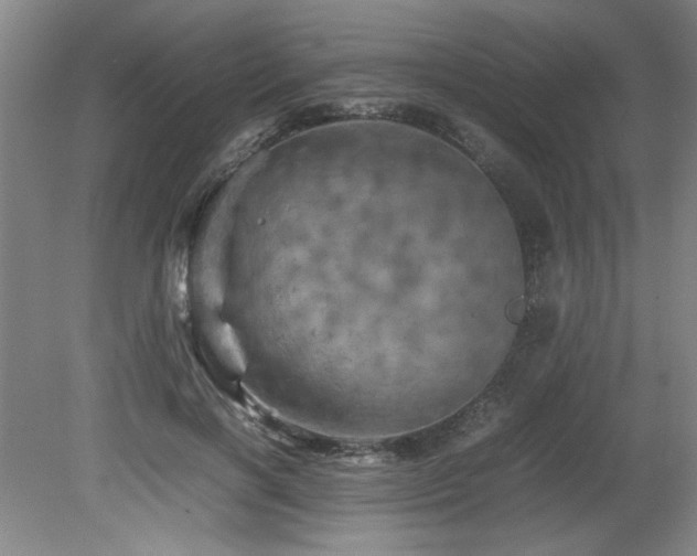 X0000082170646200701191308