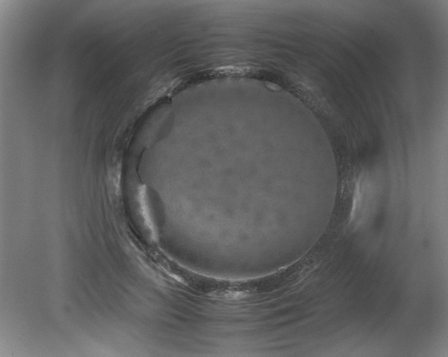 X0000082170647200701191308