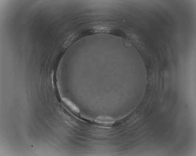 X0000082170649200701191308