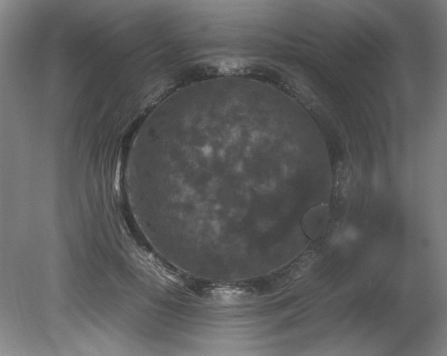 X0000082170650200701191308