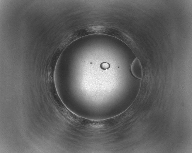 X0000082170651200701191308