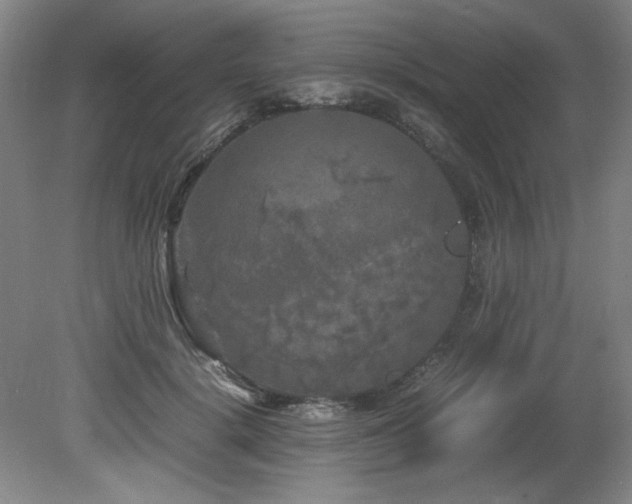 X0000082170652200701191308