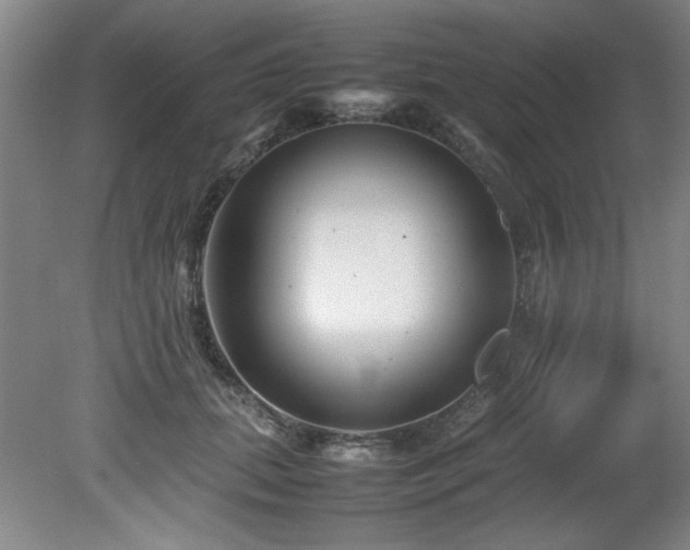 X0000082170655200701191309