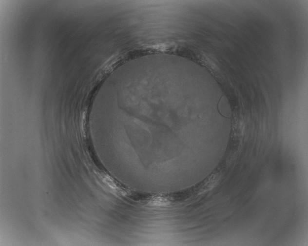 X0000082170656200701191309