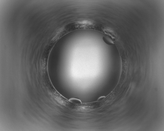 X0000082170657200701191309