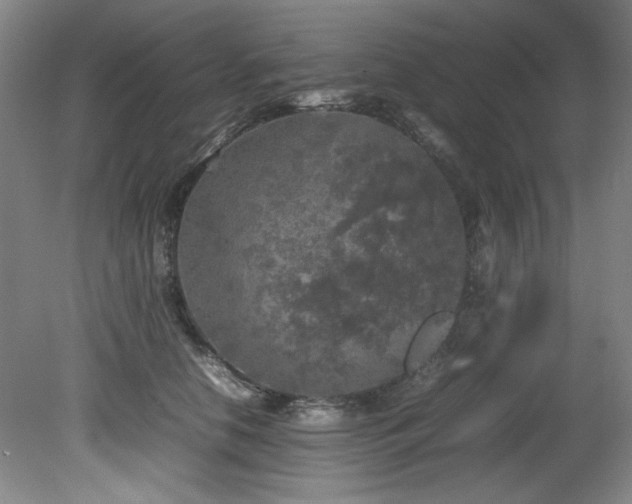 X0000082170658200701191309