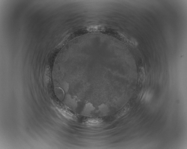 X0000082170659200701191309