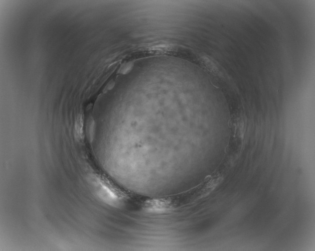 X0000082170660200701191309